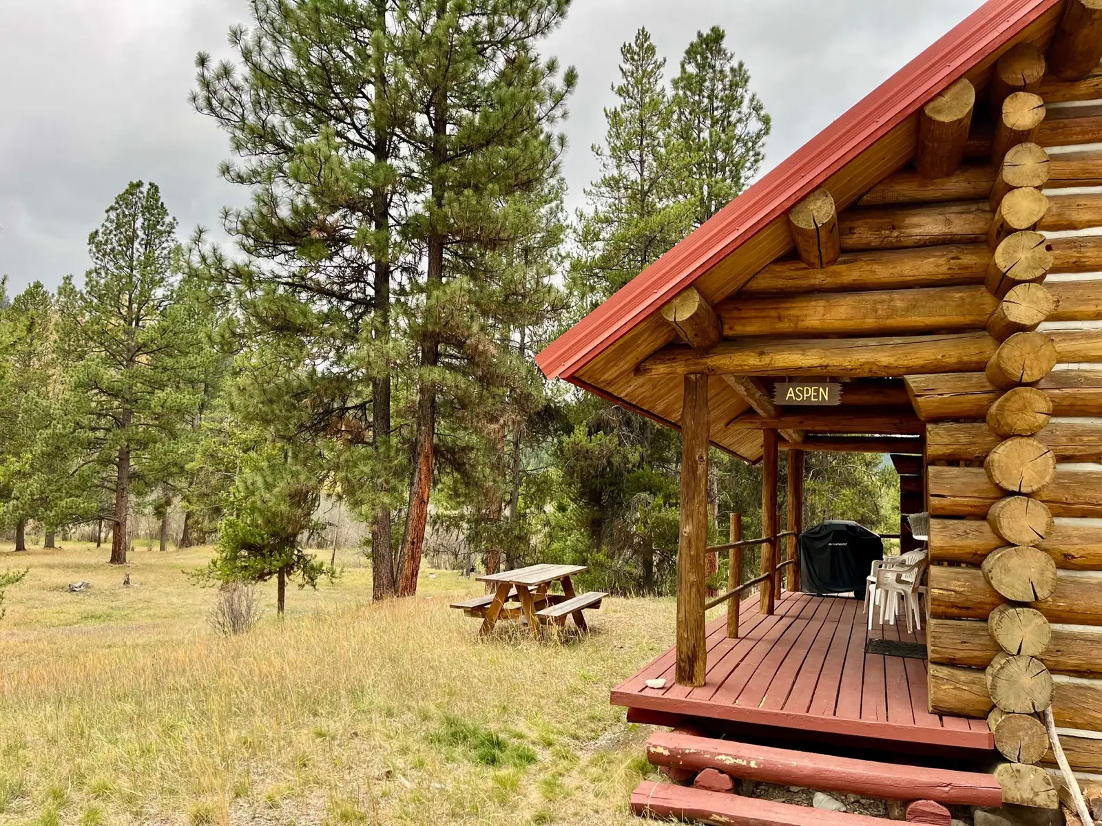 The Aspen log cabin and its deck among the pines
