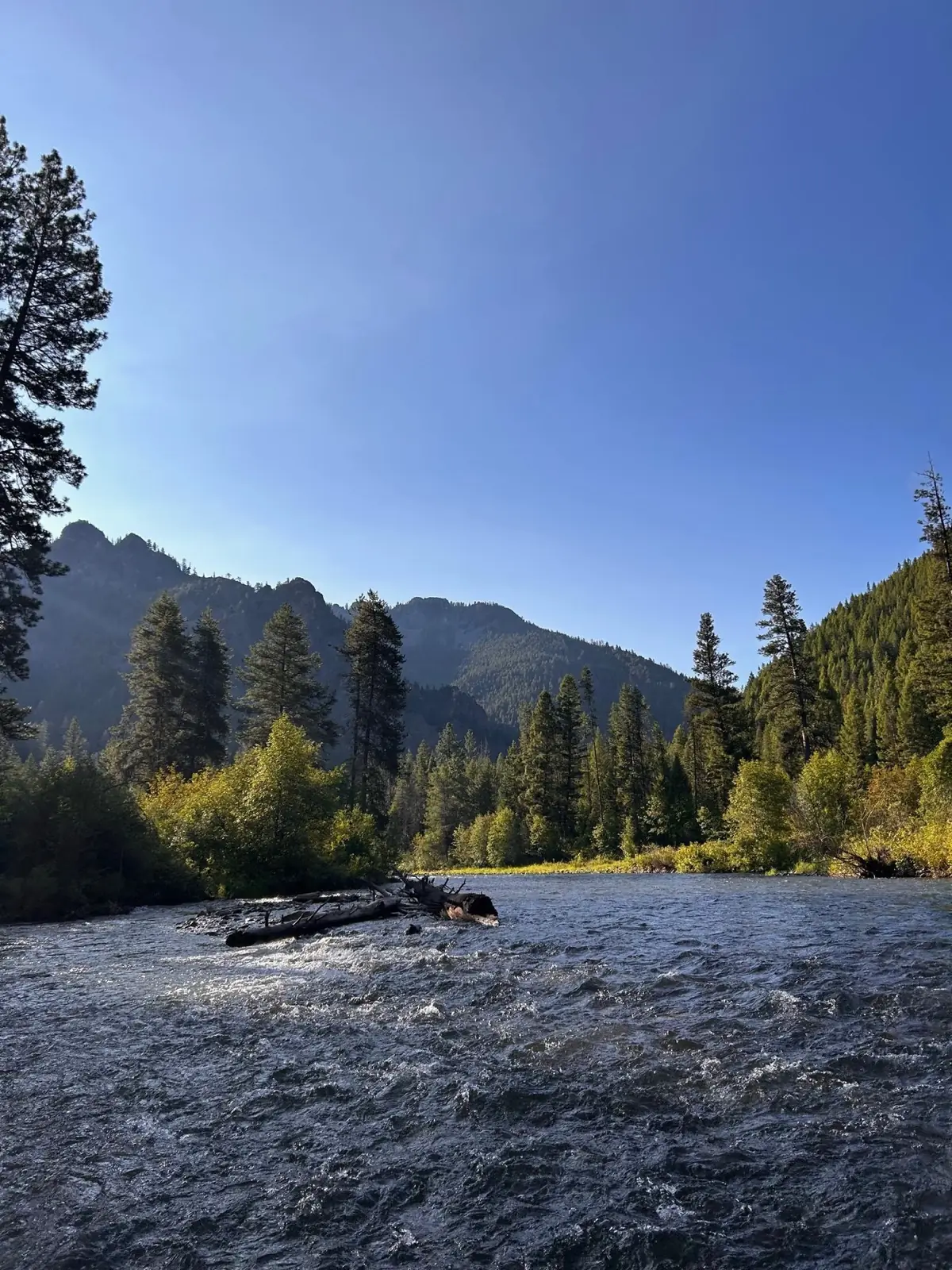 The West Fork of the Bitterroot River running through the valley