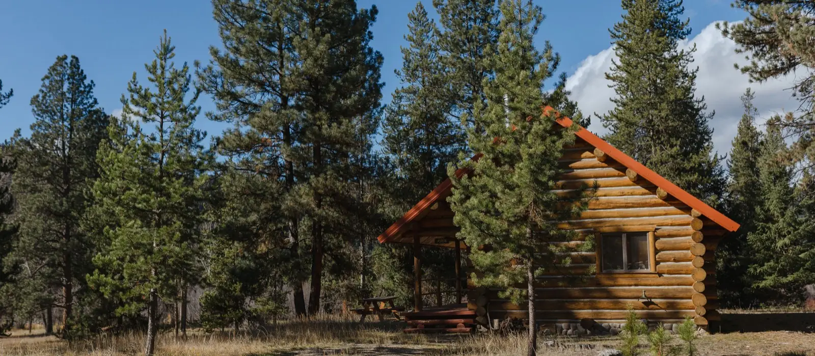 The Aspen cabin set among the pines