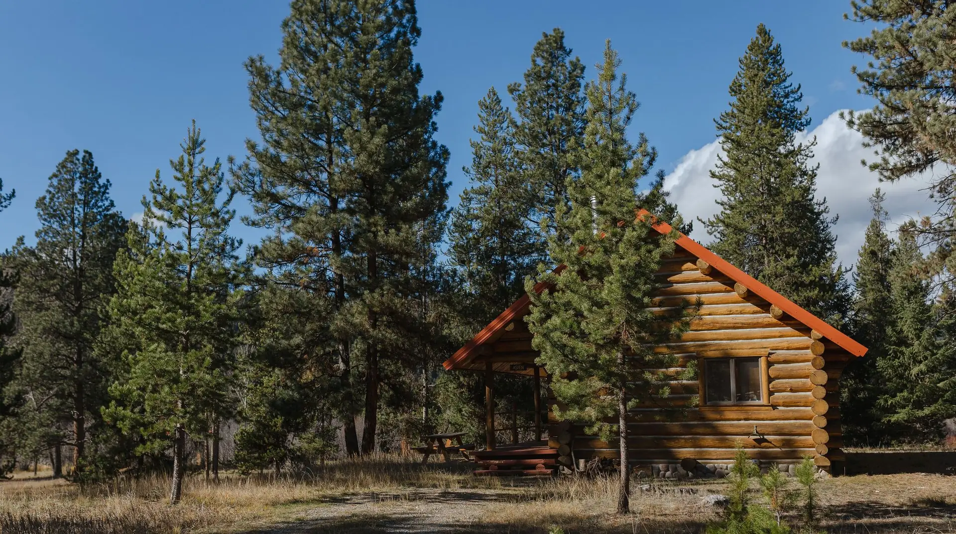 A log cabin among tall pines under a blue sky