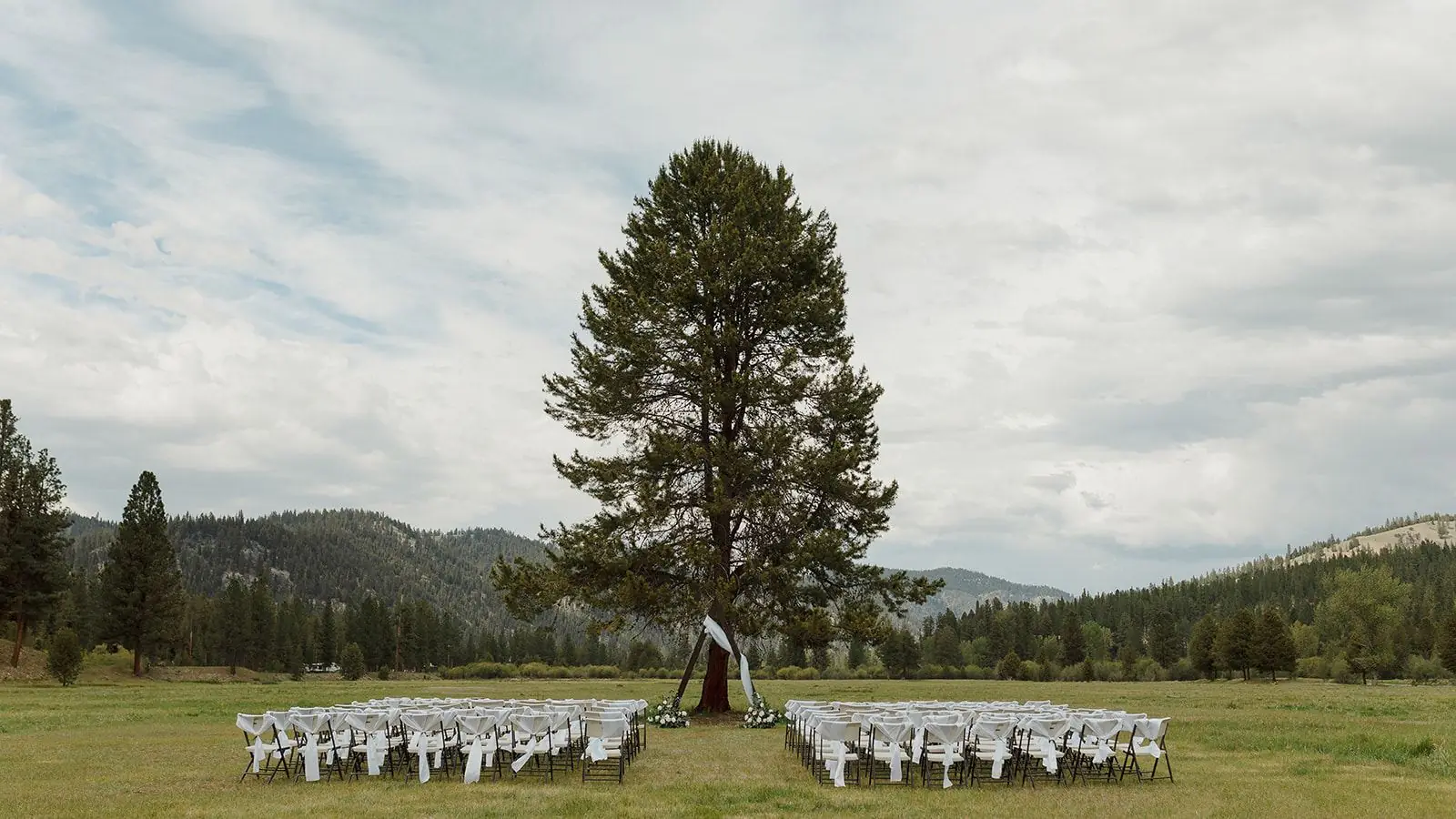 Rows of white chairs set for a ceremony under a lone pine at Alta Ranch in the Bitterroot Valley