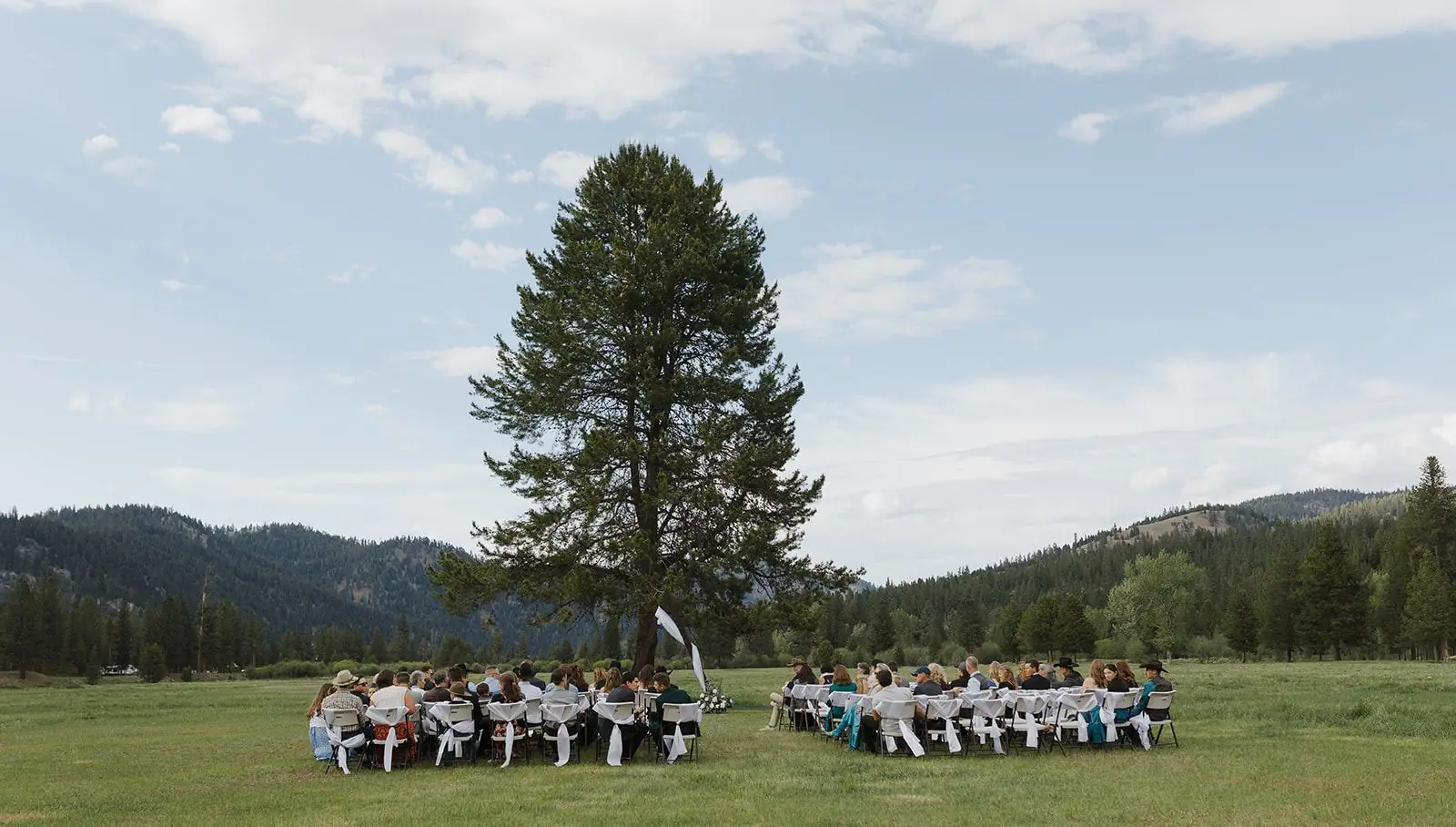 A wedding ceremony in the meadow under a lone pine