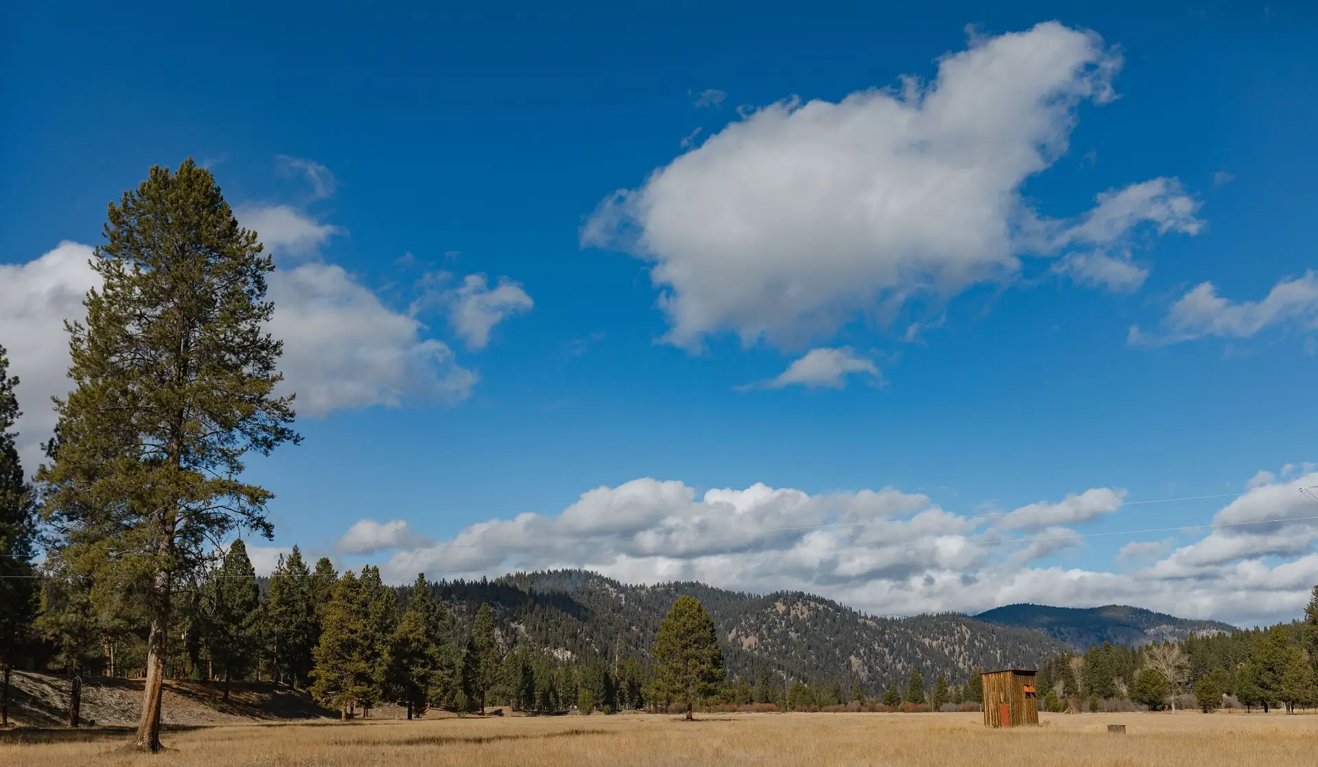 Open ranch meadow under a big Montana sky in the Bitterroot Valley