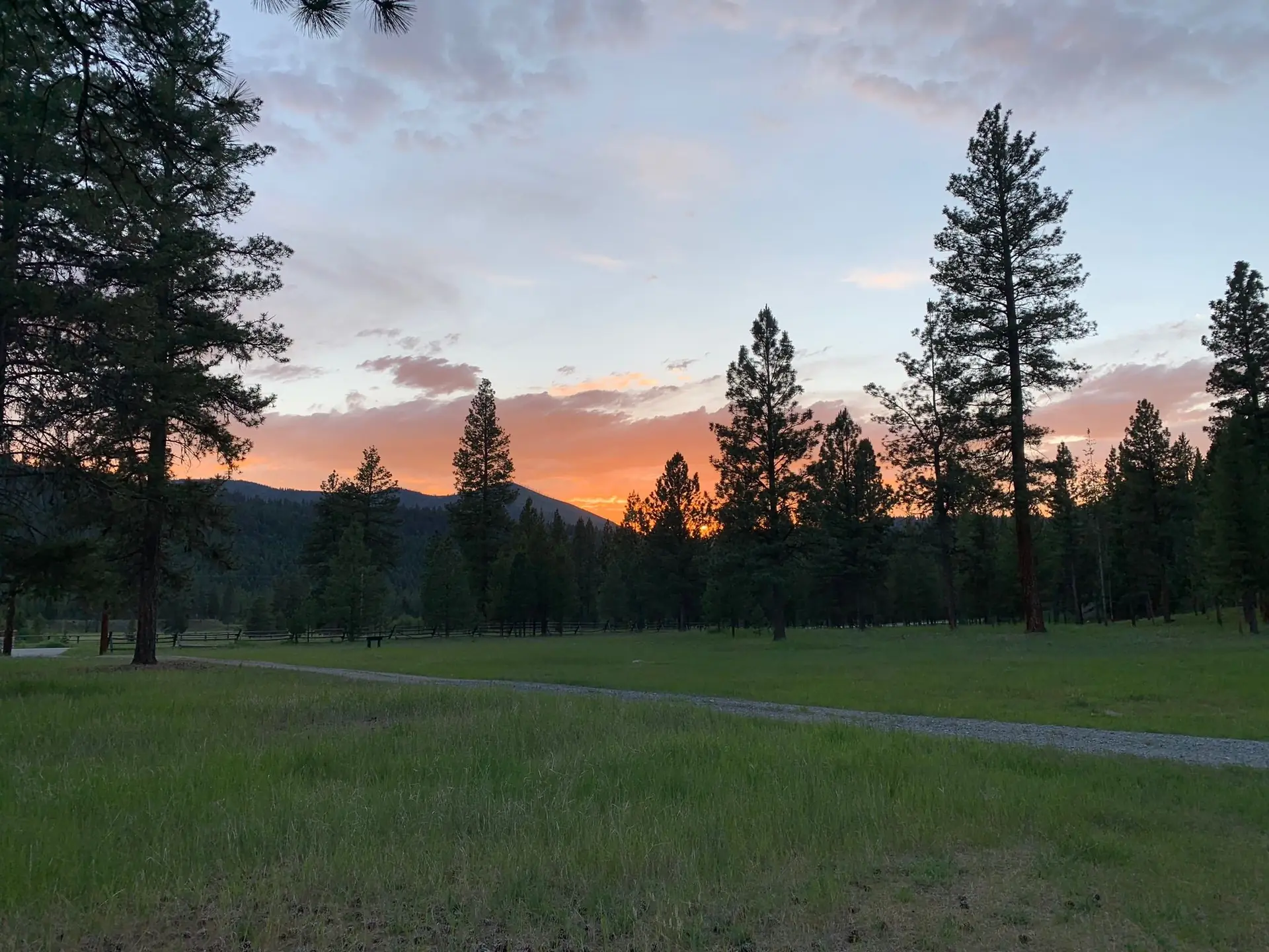 Pines and open meadow under an orange and pink sunset sky at Alta Ranch