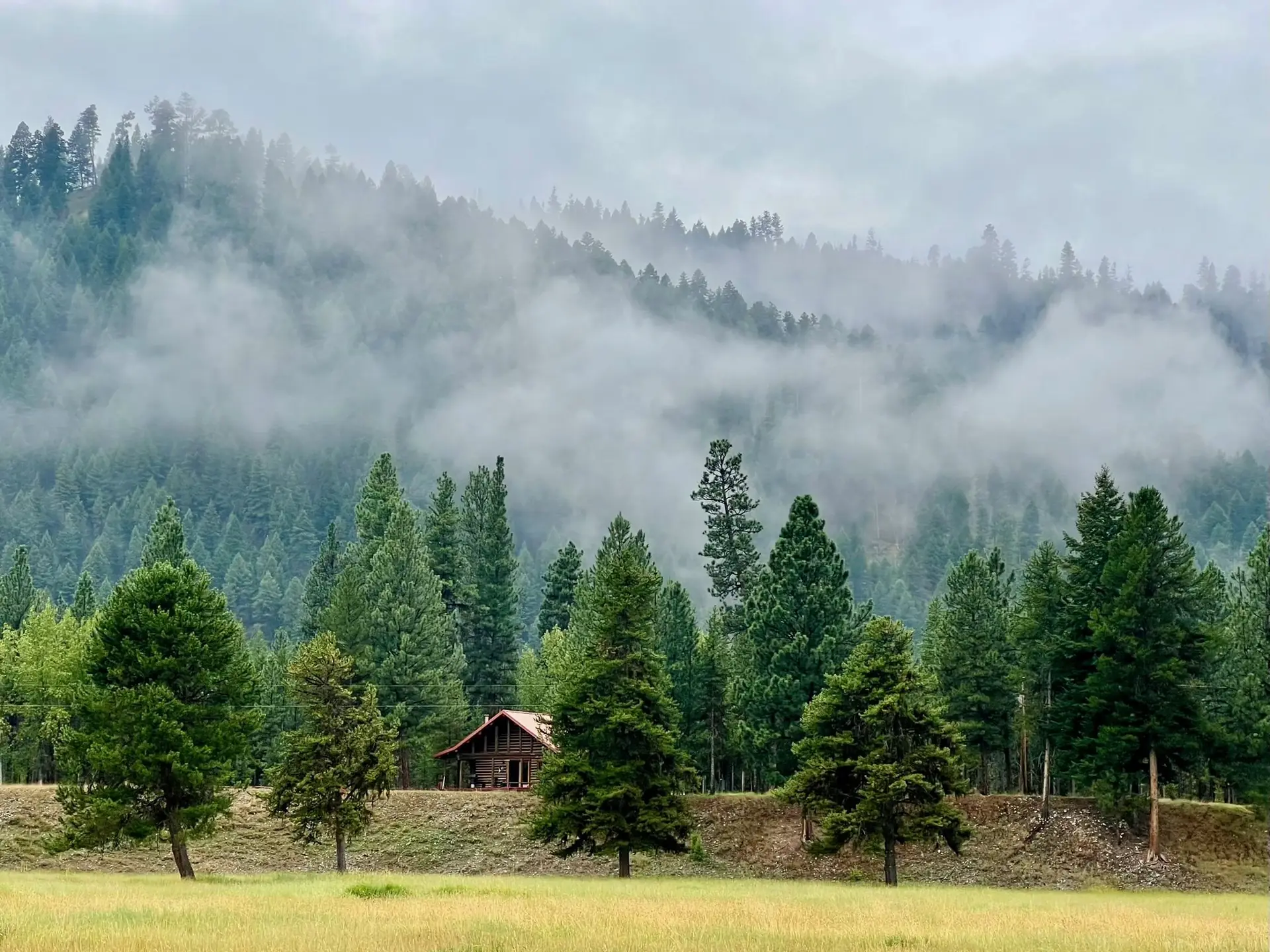 Low cloud over the forested hills above the ranch