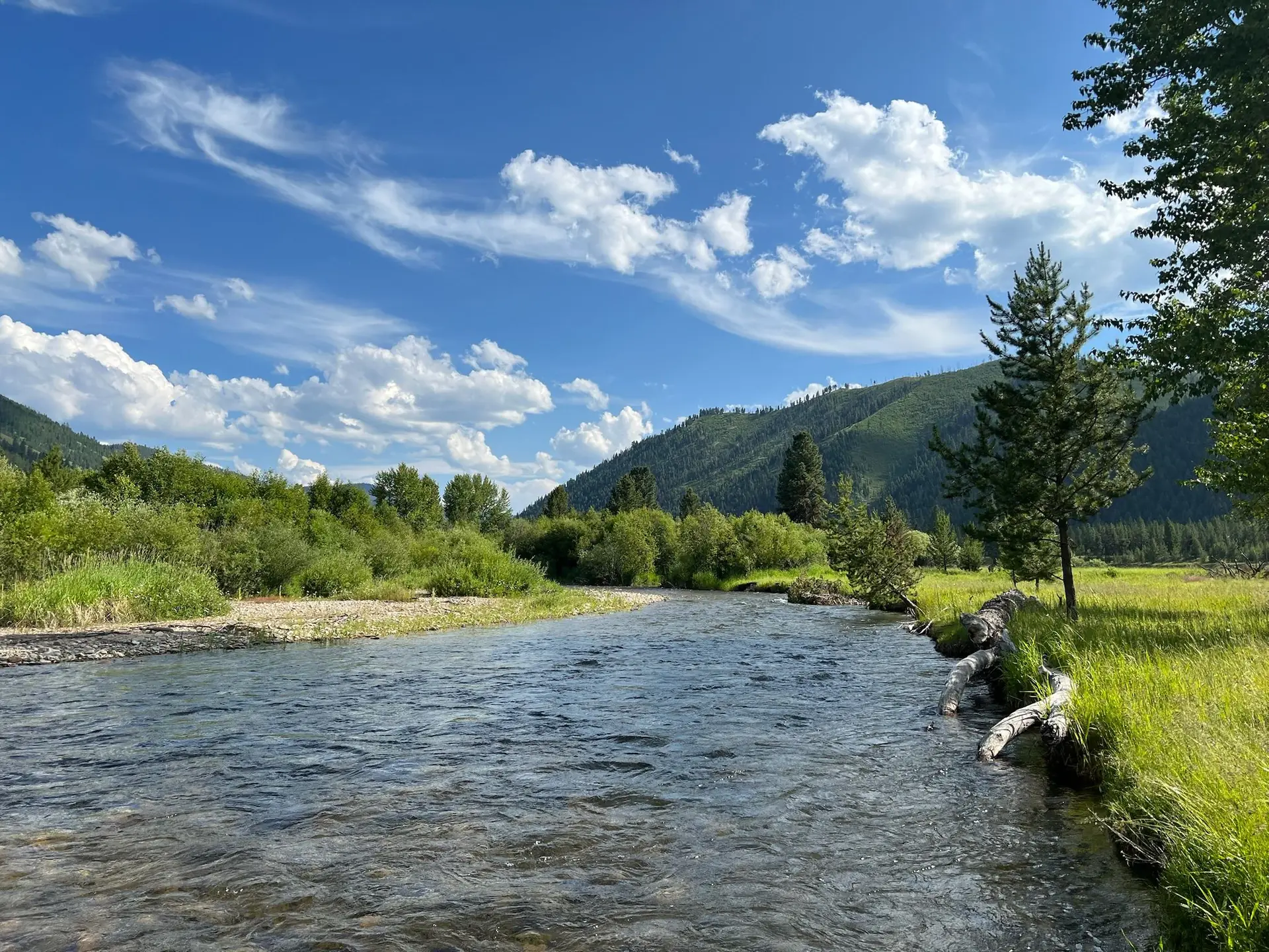The West Fork of the Bitterroot running under a blue sky