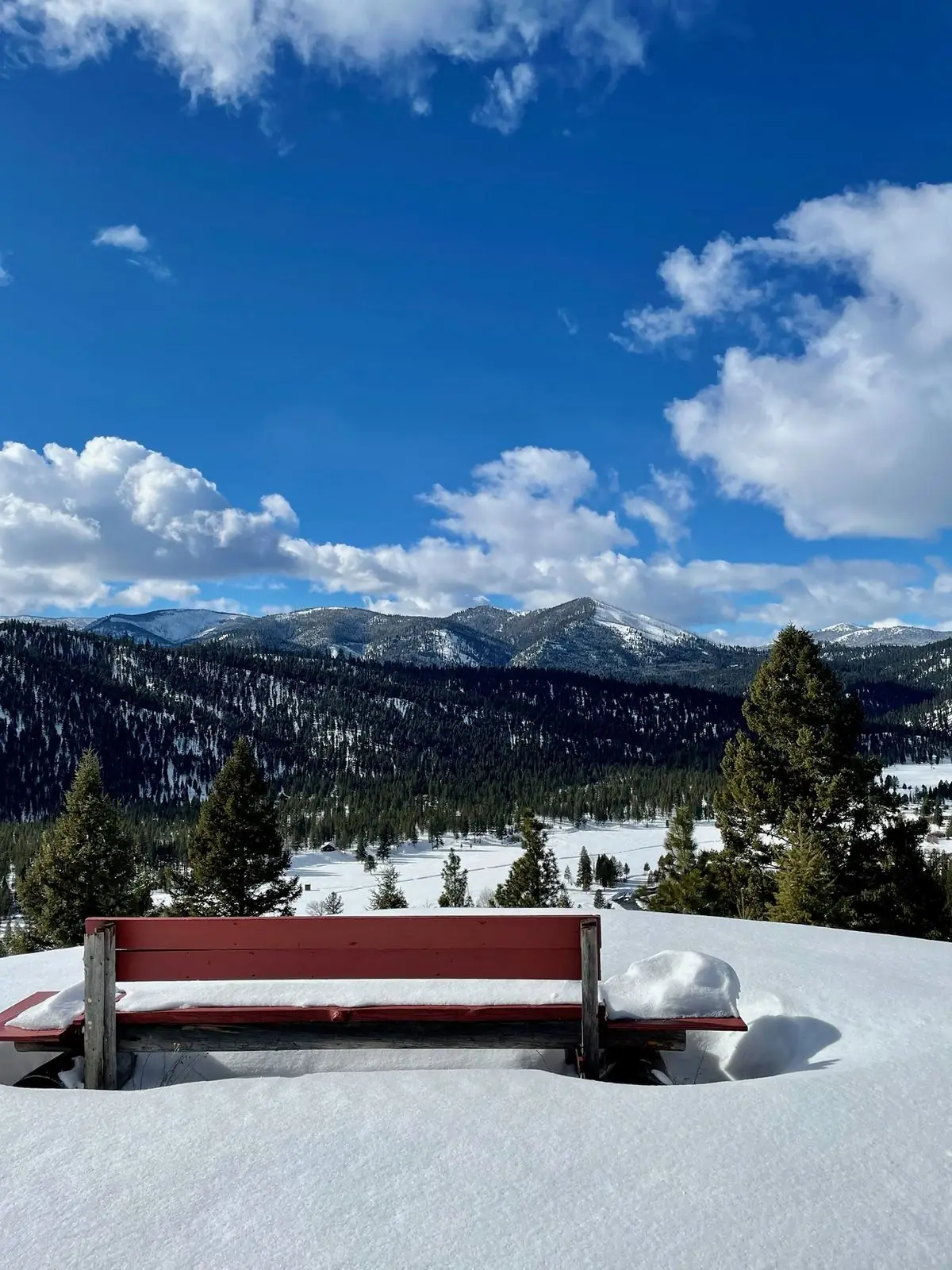 A bench in fresh snow looking out over the valley